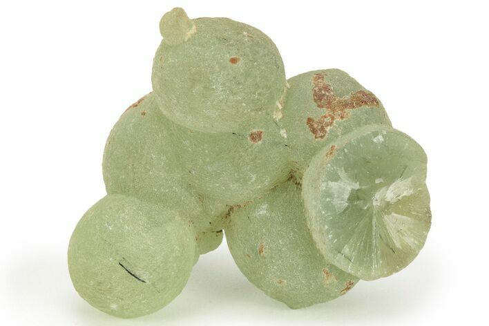 Botryoidal Prehnite - Mali #220473